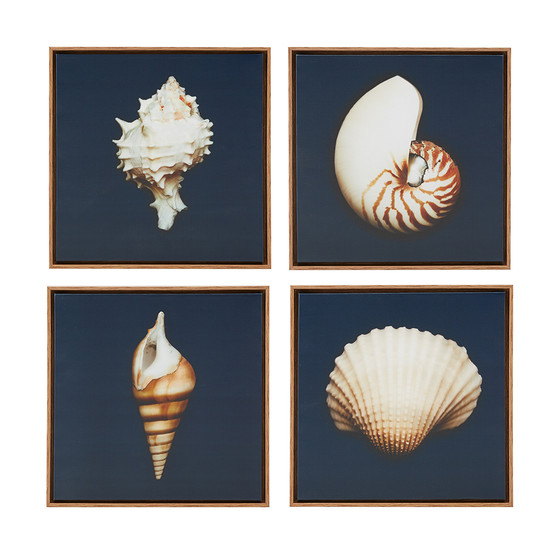 Madison Park Ocean Seashells Blue 4-piece Framed Canvas Wall Art Set