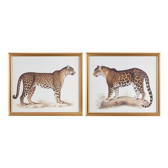 Madison Park The Duel Multi Cheetah Framed Graphic Wall Decor 2 Piece set