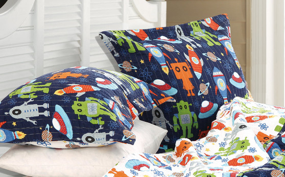 Robots in Space Multi Sham