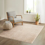 Madison Park Camdyn Cream Super Soft Polyester Shag Area Rug