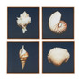 Madison Park Ocean Seashells Blue 4-piece Framed Canvas Wall Art Set
