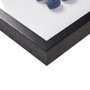 INK+IVY Indigo Shells Blue Framed Sea Urchin Shadow Box Wall Decor