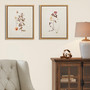 Madison Park French Herbarium Multi 2-piece Framed Canvas Wall Art Set