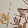 Madison Park French Herbarium Multi 2-piece Framed Canvas Wall Art Set