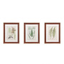Madison Park Lady Fern Collection Green Botanical Illustration 3-piece Framed Glass and Single Matted Wall Art Set