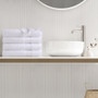 Comfort Spaces  500GSM Plush 2pc XL Towel Set