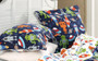 Robots in Space Multi Sham