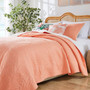 Palm Coast Coral Quilt Set
