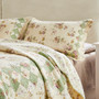 Bliss Ivory Sham