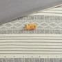 INK+IVY Cody 3 Piece Cotton Duvet Cover Set