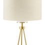 INK+IVY Pacific Metal Tripod Floor Lamp with Glass Shade