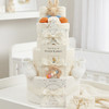 3 Tier  Tales Of Peter Rabbit Nappy Cake Unisex