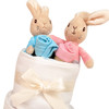 3 Tier Twin Baby Nappy Cake Let The Adventure Begin (Peter Rabbit & Flopsy)