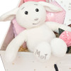 3 TIER BOX Welcome BABY GIFT HAMPER SET (Organic Boi Bunny)