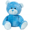 Twin Boy and Girl Teddy Bear Gift Hamper 