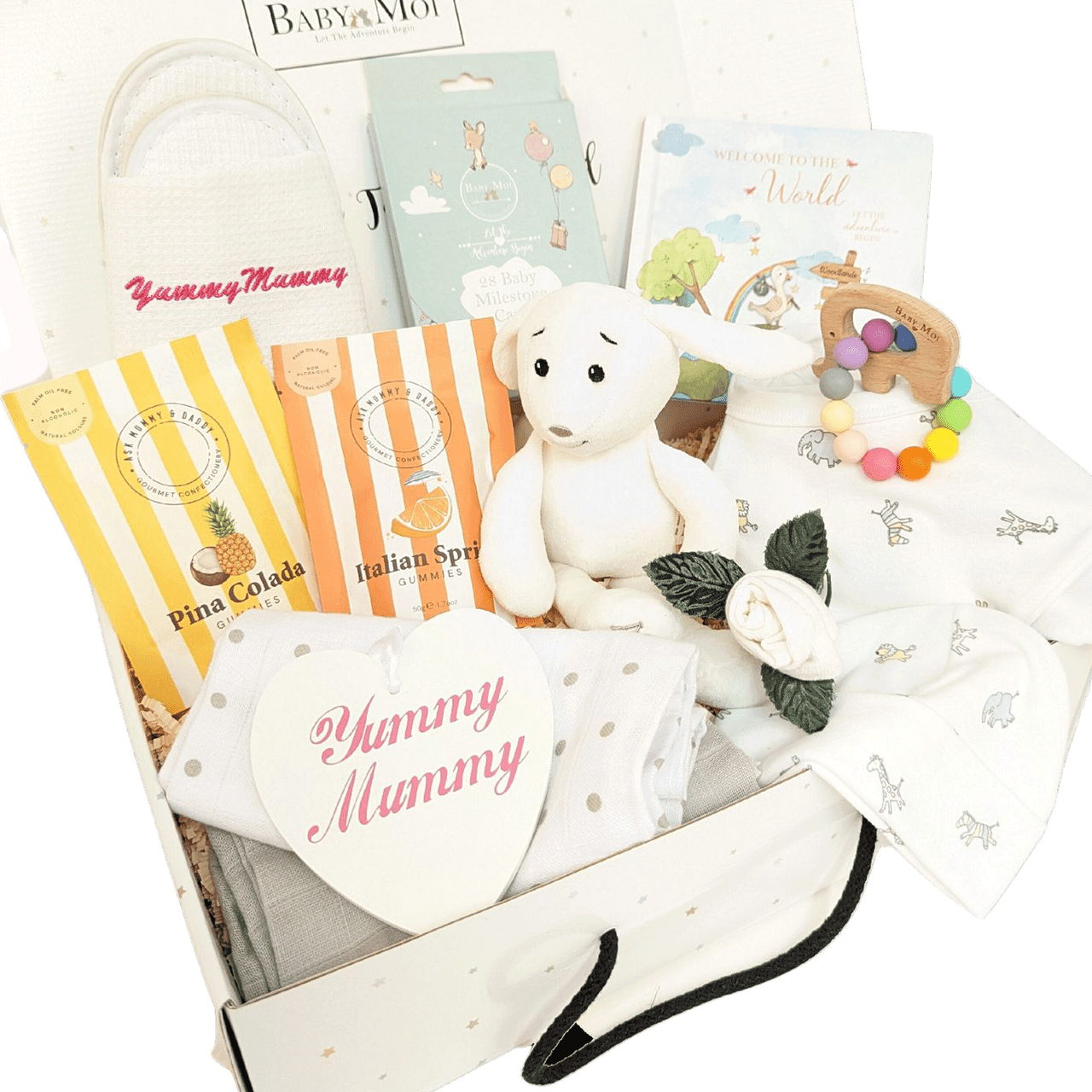 Lily and Page Baby Welcome Gift Basket with Teddy for Registry, Baby  Showers and Birthdays - Walmart.com