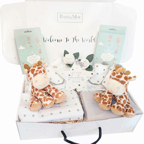 Baby Twin Gift Hampers
