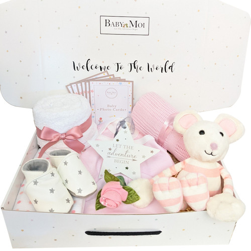 LET THE ADVENTURE BEGIN LUXURY BABY GIRL GIFT HAMPER Mimi Mouse