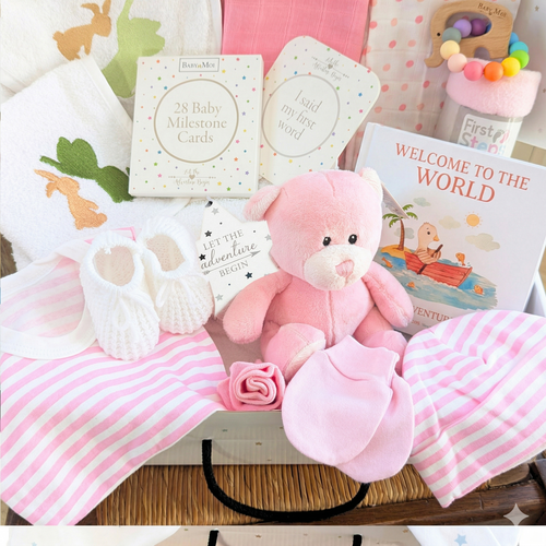 Hello World Baby Girl Gift Hamper