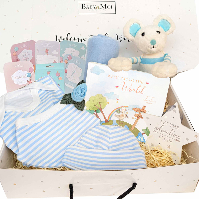 Story Time Newborn Baby Boy Gift Hamper Moby Mouse 