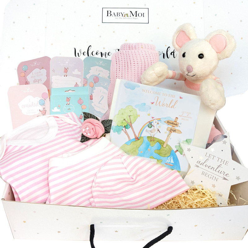 Story Time Newborn Baby girl Gift Hamper Millie Mouse 