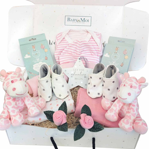 New Twin Baby Girls Gift Hampers Gift Boxed Nappy Cake Shop