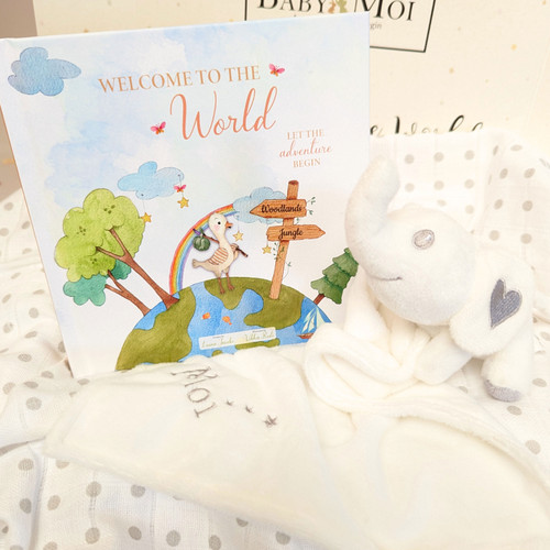 NEW BABY GIFT SET LITTLE MILESTONES ELEPHANT - Nappy Cake Shop