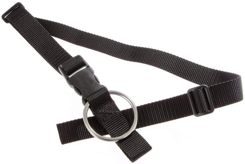 Dive Rite Crotch Strap 1.5" w/SR1 & SS Ring BCD Accessories
