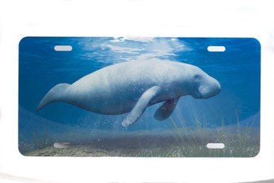 Marine Sports Air Brush Manatee Plate