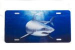 Marine Sports Air Brush Shark Plate