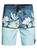 Quiksilver Men's Standard Country Vibes Beachshort 18 Swim Trunk Size 40 (Real Teal,40)