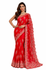Red Saree with Intricate Silver Embroidery