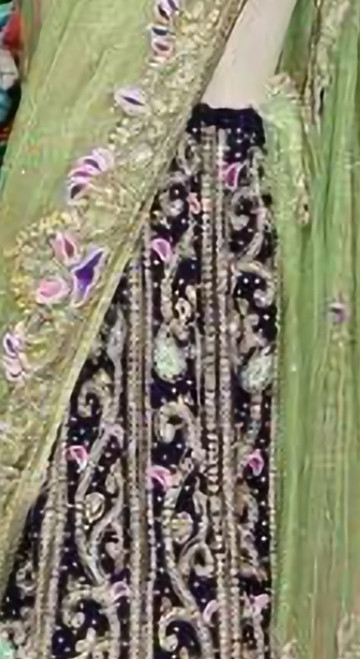 Regal Navy Blue and Pastel Green Embroidered Saree Regal Navy Blue and Pastel Green Embroidered Saree