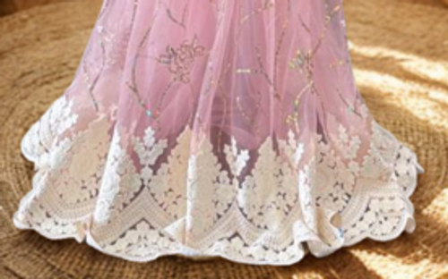 Blush Pink Net Saree with Intricate White Embroidery Blush Pink Net Saree with Intricate White Embroidery