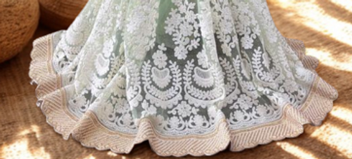 Pastel Green Net Saree with Heavy White Embroidery and Golden Border Pastel Green Net Saree with Heavy White Embroidery and Golden Border