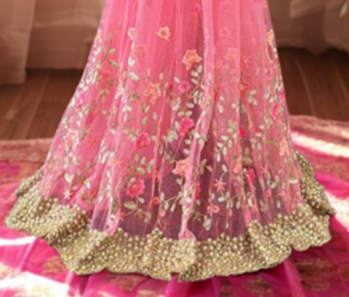 Dreamy Pastel Pink Floral Net Saree with Hand-Embroidered Border Dreamy Pastel Pink Floral Net Saree with Hand-Embroidered Border