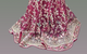 Magenta Net Saree with All-Over Intricate Floral Embroidery