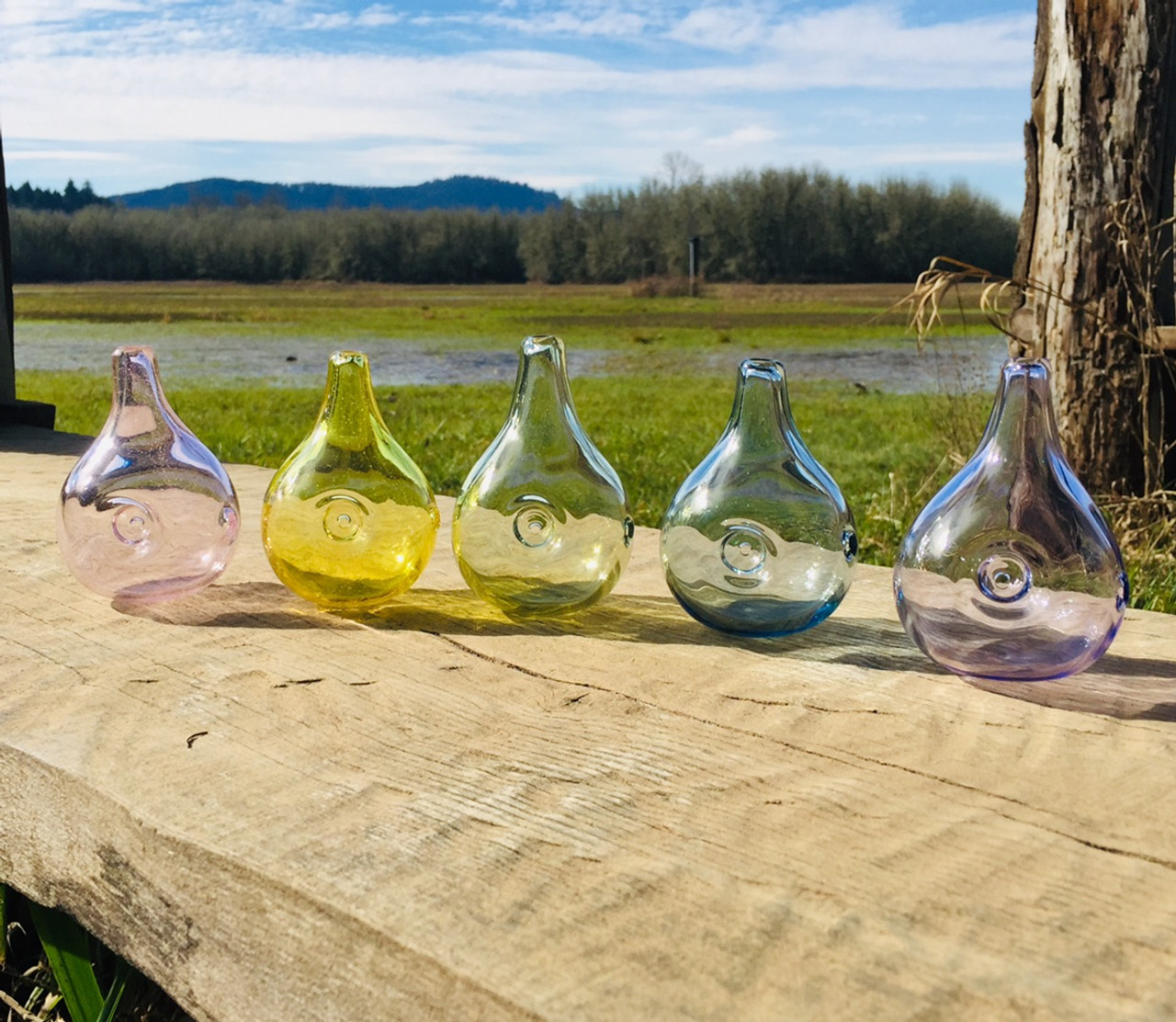 rainbow weed pipes