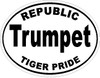 Republic Tiger Pride Band-WHITE