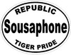 Republic Tiger Pride Band-WHITE