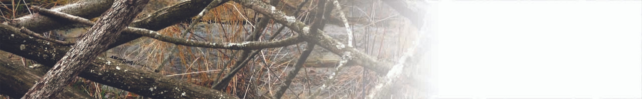 Étui souple double pour armes à feu camouflage pour Can-Am