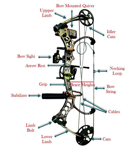 Archery for Beginners: How to Get Started