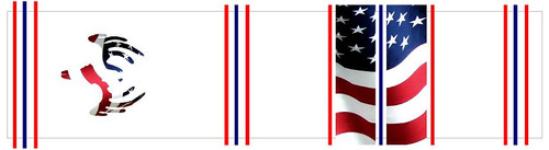 Arrow Wraps-Amercian Flag w/ European Mount Deer Skull