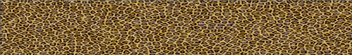 Arrow Wraps-Wild Leopard
