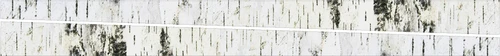 Limbsations-Birch
