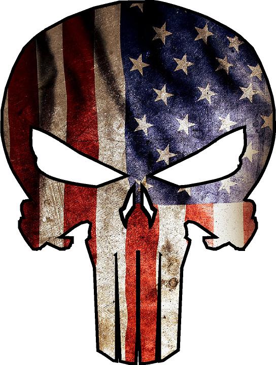 Decal-American Punisher - Onestringer