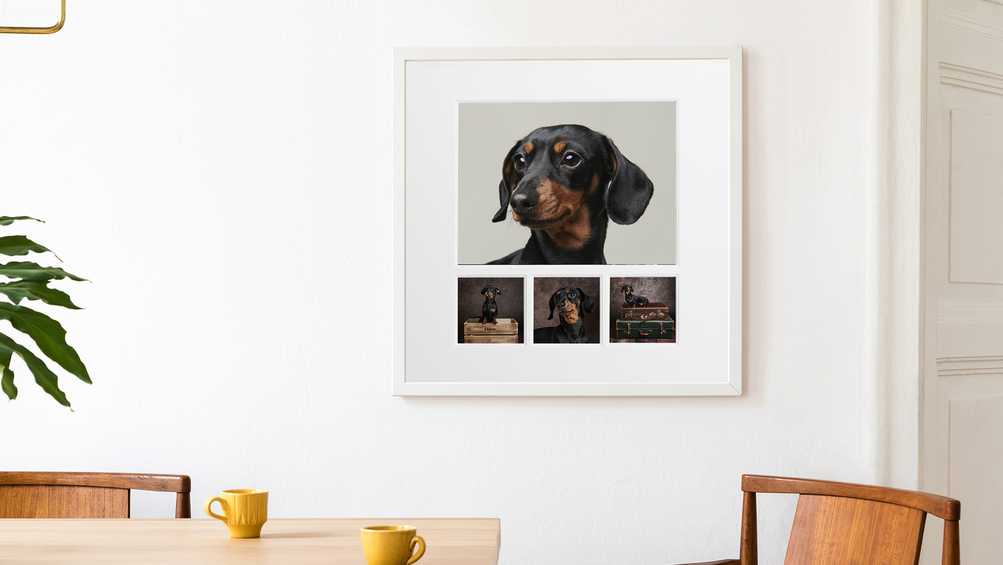 collection of beautiful pet photography in a white frame on a dining room wall