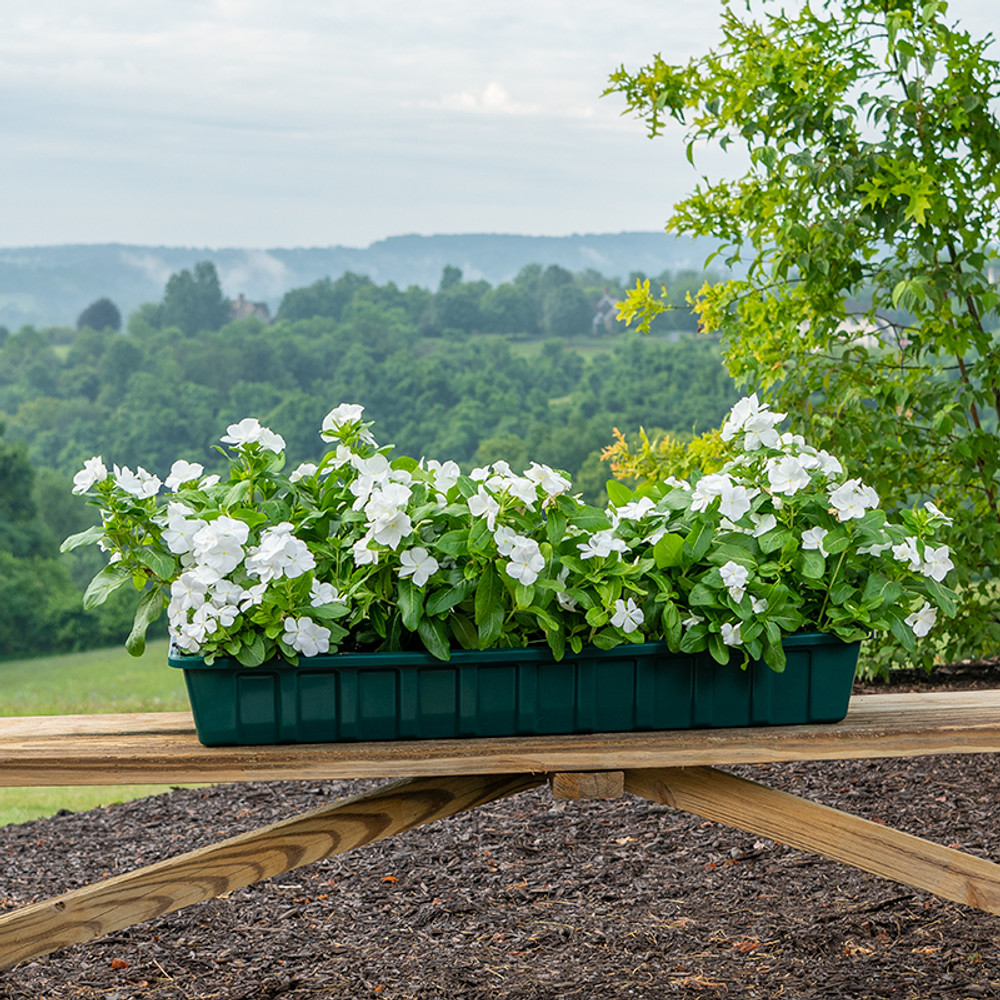 leadore polypropylene window box planter