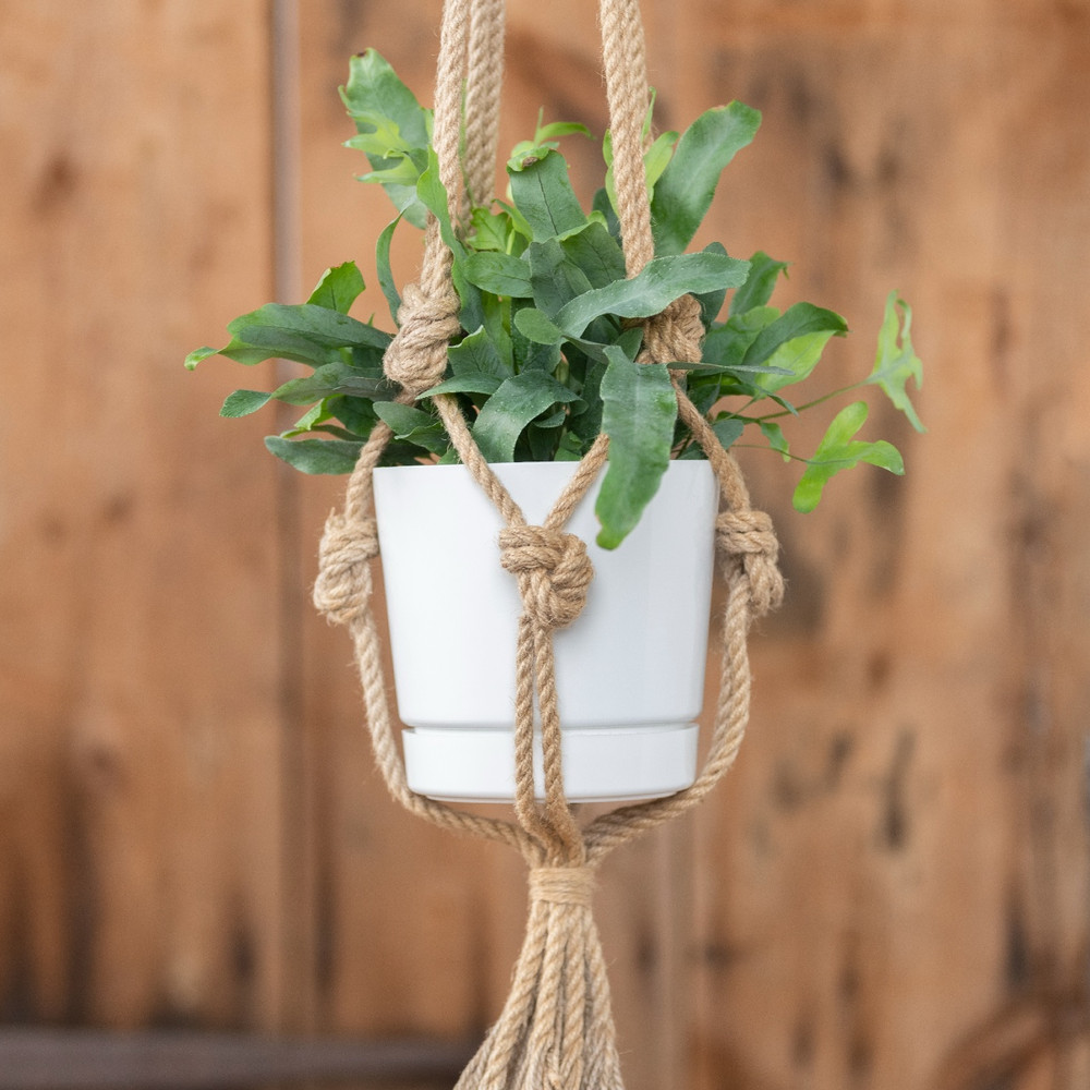 Cylinder Plant Pot | Decorative Planters | Root & Vessel
