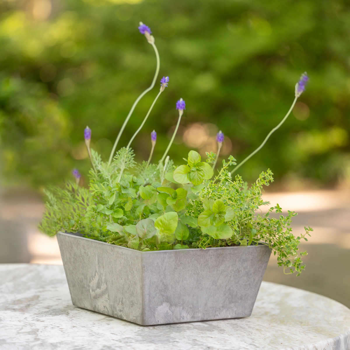 Low Planters | Self-Watering | Artstone